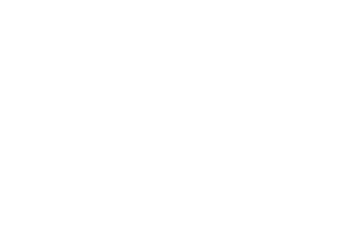 ArmVault